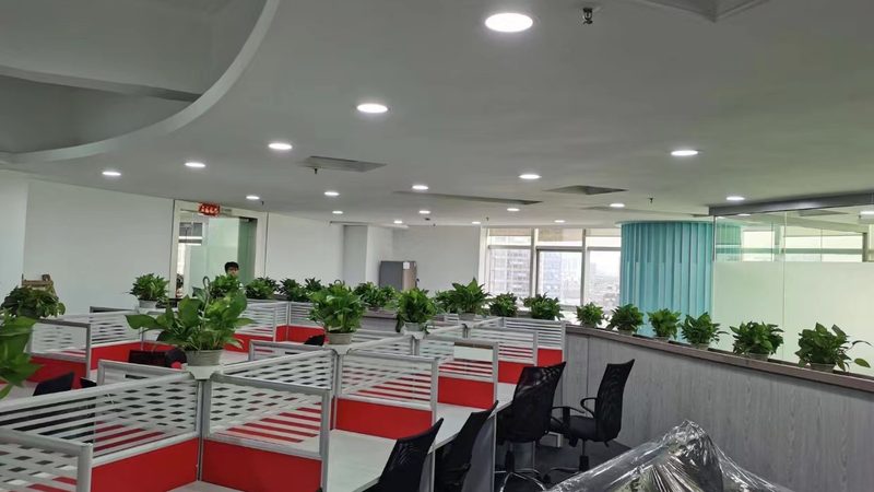 企业管理制度建设流程：构建高效运营的基石